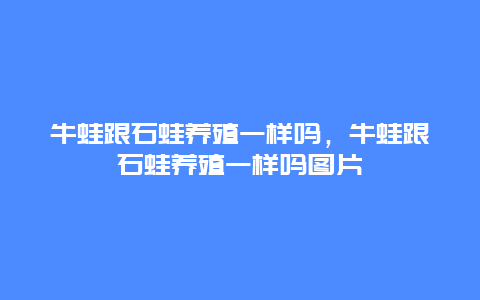 牛蛙跟石蛙养殖一样吗，牛蛙跟石蛙养殖一样吗图片