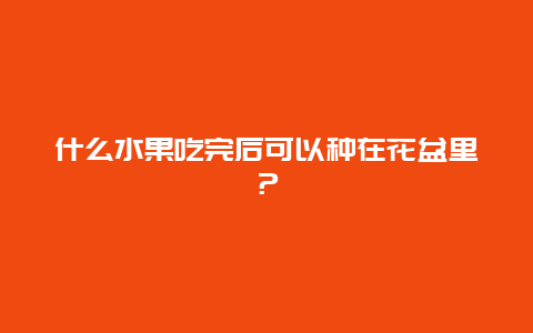 什么水果吃完后可以种在花盆里？