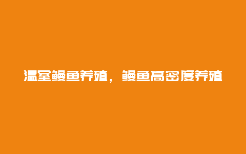 温室鳗鱼养殖，鳗鱼高密度养殖