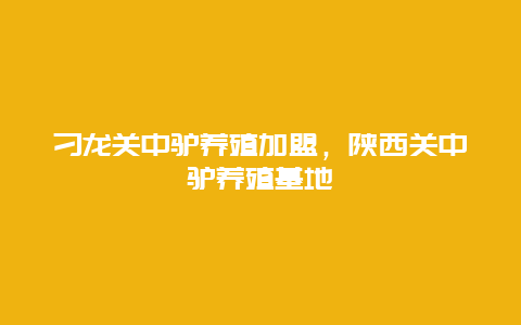 刁龙关中驴养殖加盟，陕西关中驴养殖基地