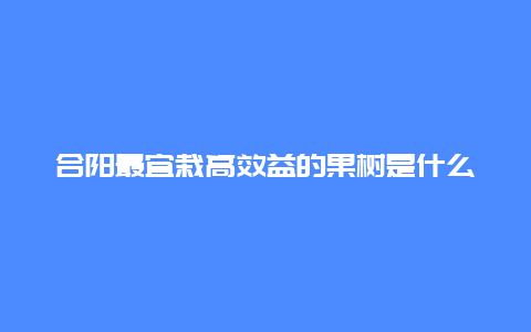 合阳最宜栽高效益的果树是什么