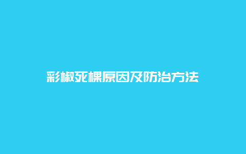 彩椒死棵原因及防治方法