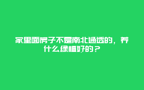 家里面房子不是南北通透的，养什么绿植好的？