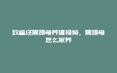 致富经黑颈龟养殖视频，黑颈龟怎么家养