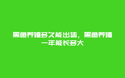 黑鱼养殖多久能出售，黑鱼养殖一年能长多大