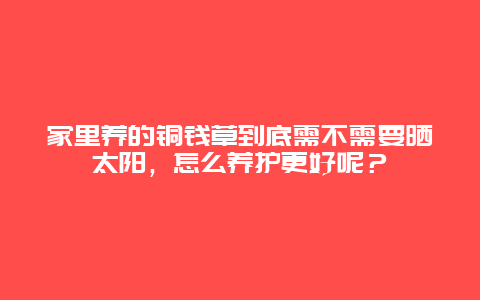 家里养的铜钱草到底需不需要晒太阳，怎么养护更好呢？