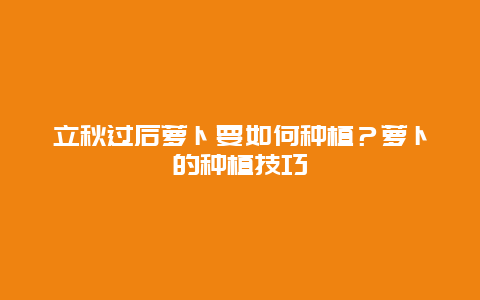 立秋过后萝卜要如何种植？萝卜的种植技巧