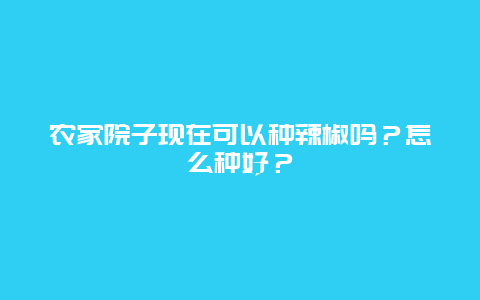 农家院子现在可以种辣椒吗？怎么种好？