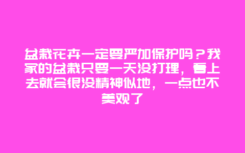 盆栽花卉一定要严加保护吗？我家的盆栽只要一天没打理，看上去就会很没精神似地，一点也不美观了