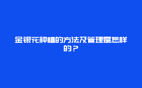 金银花种植的方法及管理是怎样的？