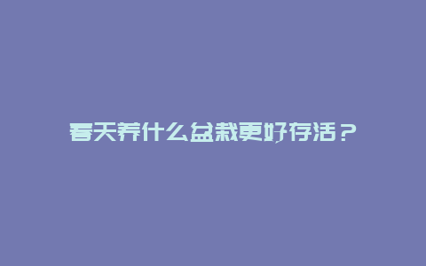 春天养什么盆栽更好存活？