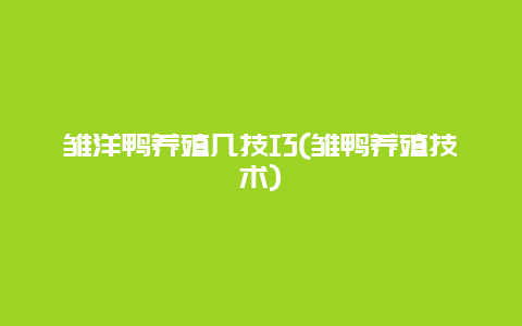 雏洋鸭养殖几技巧(雏鸭养殖技术)