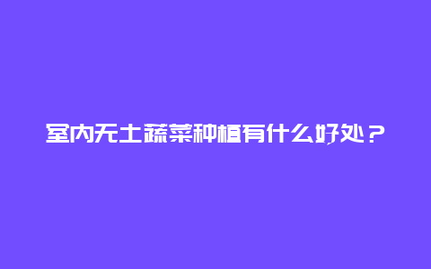 室内无土蔬菜种植有什么好处？