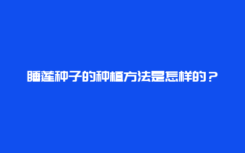 睡莲种子的种植方法是怎样的？