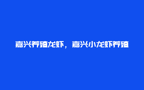 嘉兴养殖龙虾，嘉兴小龙虾养殖