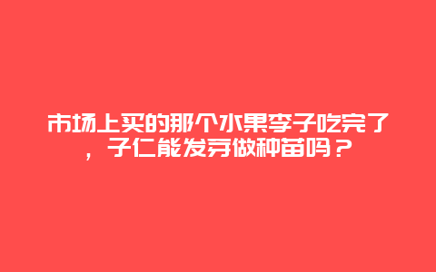 市场上买的那个水果李子吃完了，子仁能发芽做种苗吗？