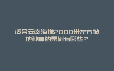 适合云南海拔2000米左右坡地种植的果树有哪些？