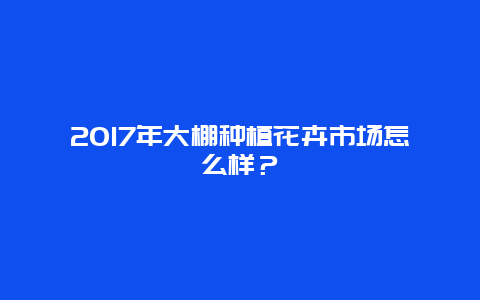 2017年大棚种植花卉市场怎么样？