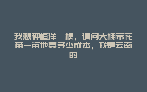 我想种植洋桔梗，请问大棚带花苗一亩地要多少成本，我是云南的