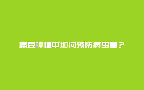 扁豆种植中如何预防病虫害？