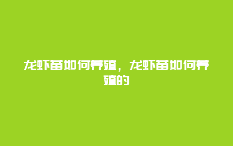 龙虾苗如何养殖，龙虾苗如何养殖的