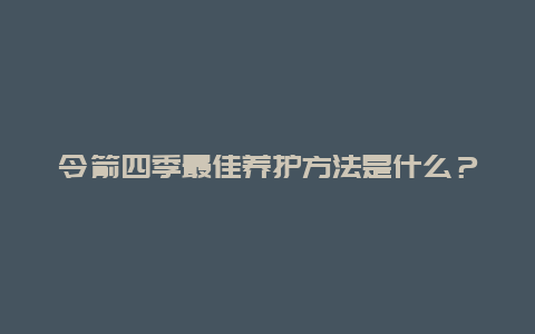 令箭四季最佳养护方法是什么？