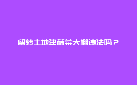 留转土地建蔬菜大棚违法吗？