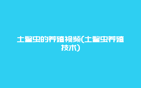 土鳖虫的养殖视频(土鳖虫养殖技术)