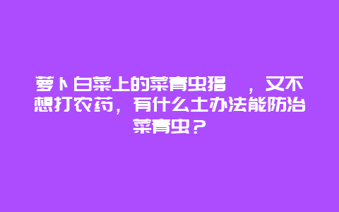 萝卜白菜上的菜青虫猖獗，又不想打农药，有什么土办法能防治菜青虫？