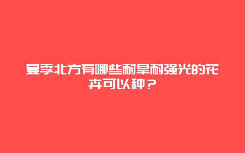 夏季北方有哪些耐旱耐强光的花卉可以种？