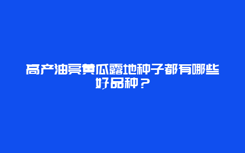 高产油亮黄瓜露地种子都有哪些好品种？