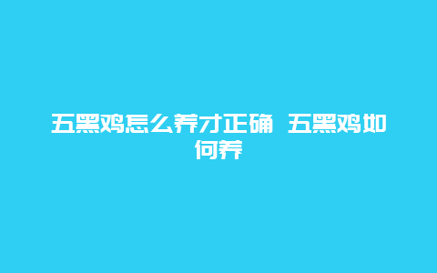 五黑鸡怎么养才正确 五黑鸡如何养