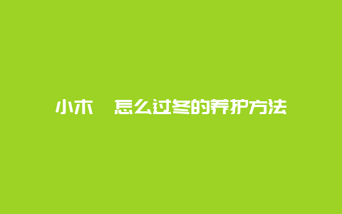 小木槿怎么过冬的养护方法