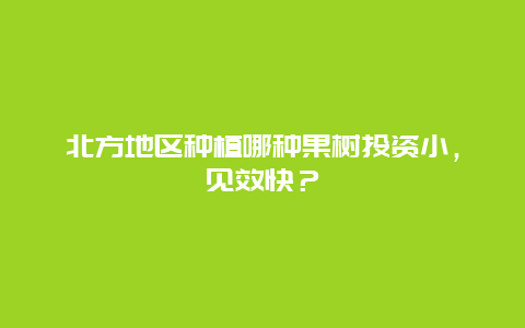 北方地区种植哪种果树投资小，见效快？