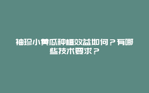 袖珍小黄瓜种植效益如何？有哪些技术要求？