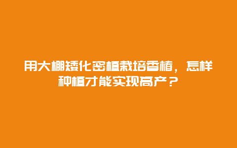 用大棚矮化密植栽培香椿，怎样种植才能实现高产？