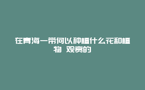 在青海一带何以种植什么花和植物 观赏的