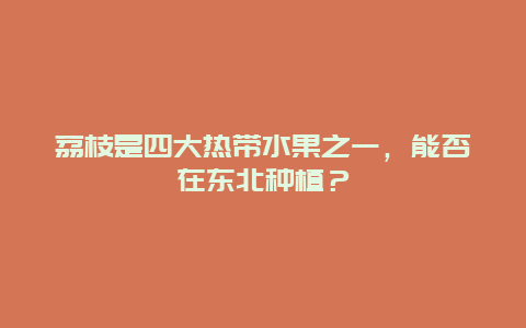 荔枝是四大热带水果之一，能否在东北种植？