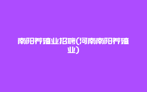 南阳养殖业招聘(河南南阳养殖业)