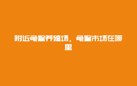 附近龟鳖养殖场，龟鳖市场在哪里