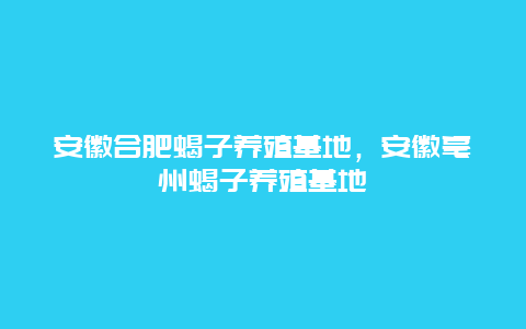 安徽合肥蝎子养殖基地，安徽亳州蝎子养殖基地