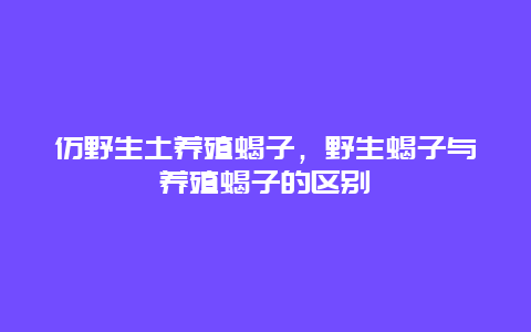 仿野生土养殖蝎子，野生蝎子与养殖蝎子的区别