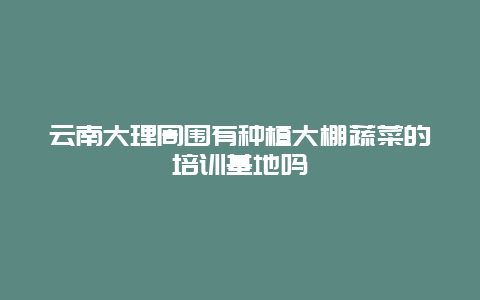 云南大理周围有种植大棚蔬菜的培训基地吗