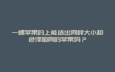 一棵苹果的上能结出同样大小和色泽相同的苹果吗？