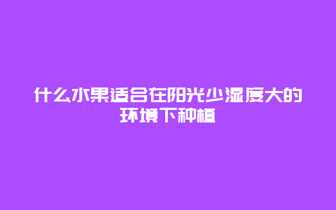 什么水果适合在阳光少湿度大的环境下种植