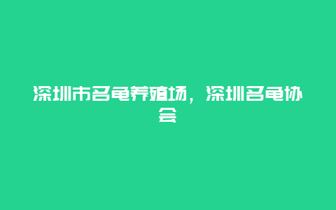 深圳市名龟养殖场，深圳名龟协会