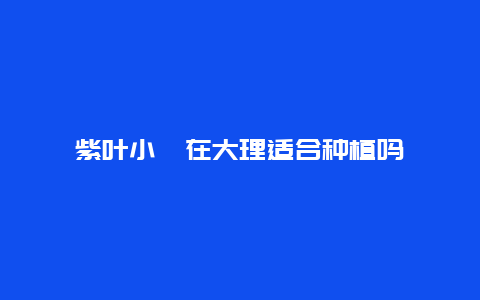 紫叶小蘖在大理适合种植吗