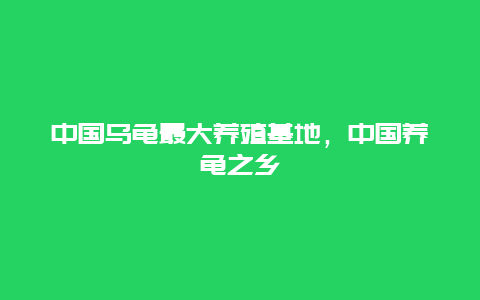 中国乌龟最大养殖基地，中国养龟之乡