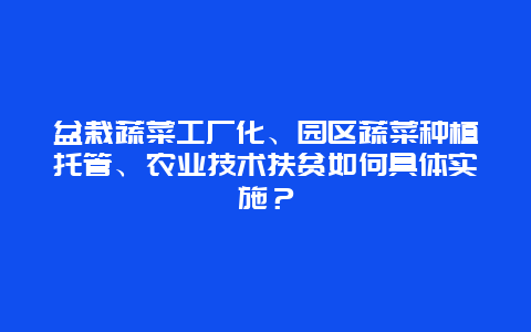 盆栽蔬菜工厂化、园区蔬菜种植托管、农业技术扶贫如何具体实施？