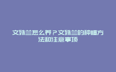 文殊兰怎么养？文殊兰的种植方法和注意事项